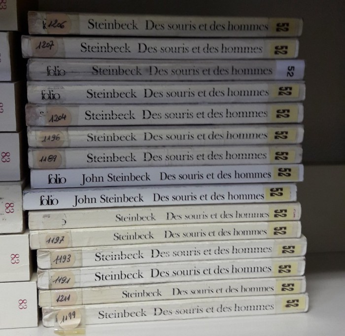 Des sous-amendements et des homos